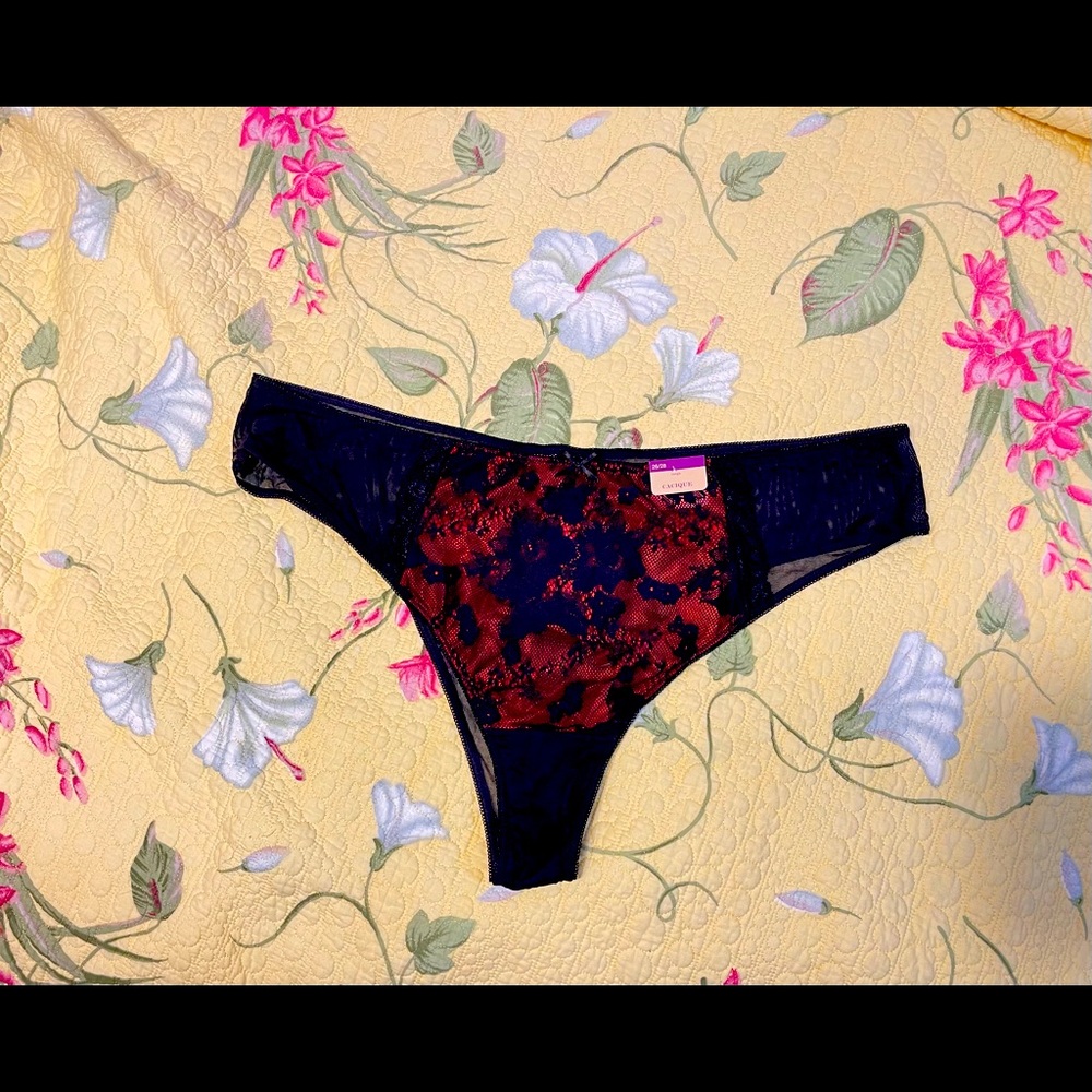 Cacique sheer and lace briefs